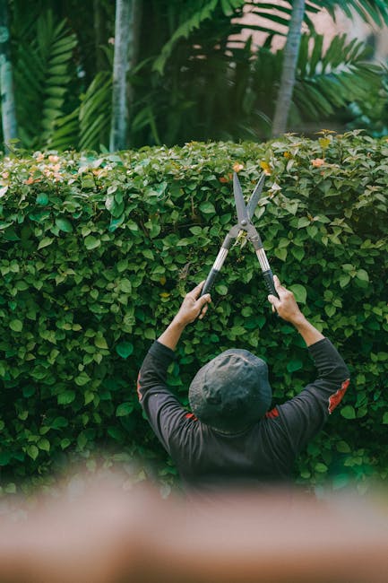 A gardener wearing a blue uniform, safety helmet, and protective glasses is standing outdoors next to a neatly trimmed hedge, using a leaf blower to clear fallen leaves and debris from a paved pathway